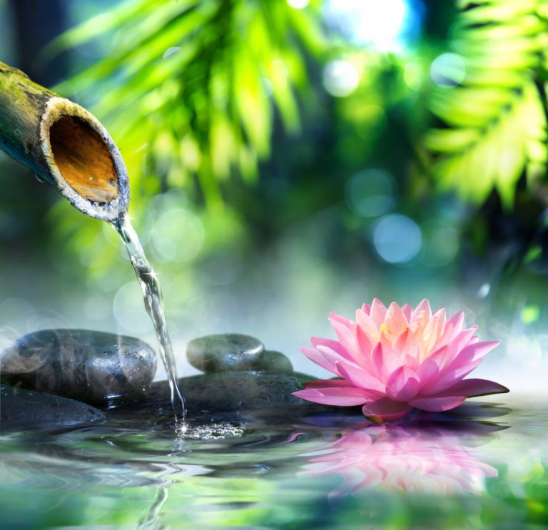 Wasser läuft aus einem Bambusrohr auf Steine, neben einer Lotusblume.