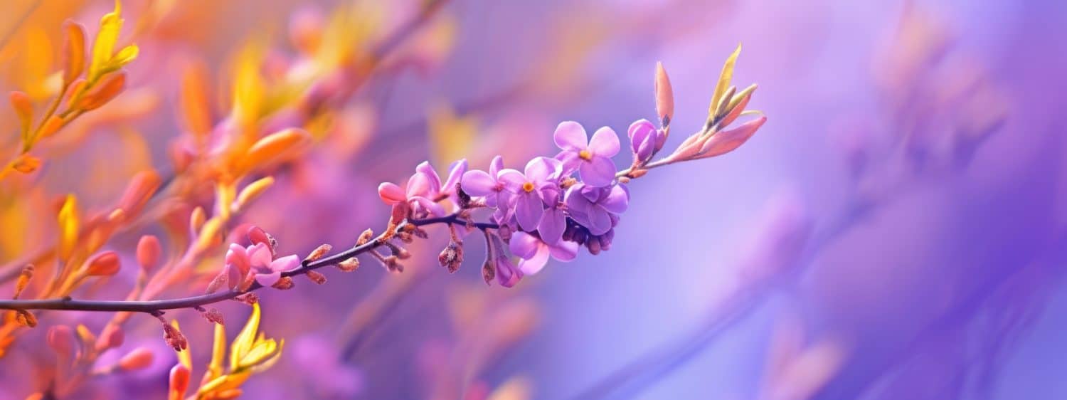 Blüte und Zweig in Nahaufnahme